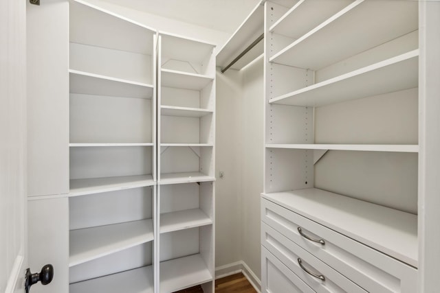 spacious closet with dark hardwood / wood-style flooring