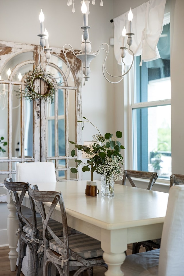 dining room with hardwood / wood-style floors