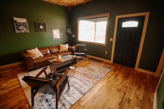 living room with wood-type flooring