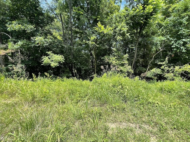 0 Parrish Hollow Rd, Lynnville, TN 38472 - photo 2