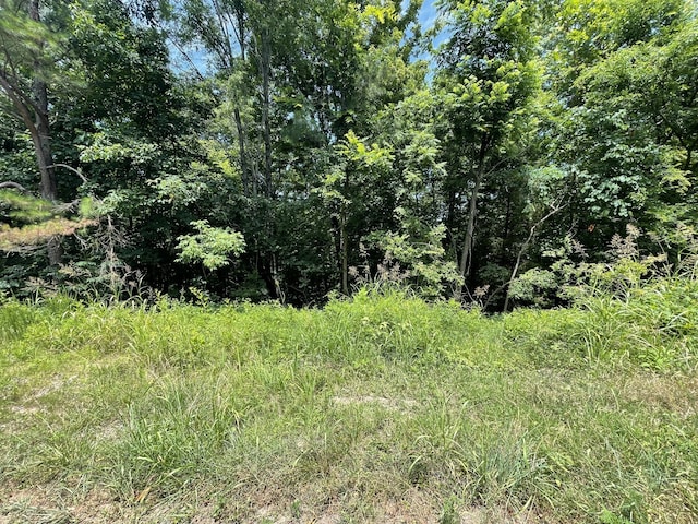 0 Parrish Hollow Rd, Lynnville TN, 38472 land for sale