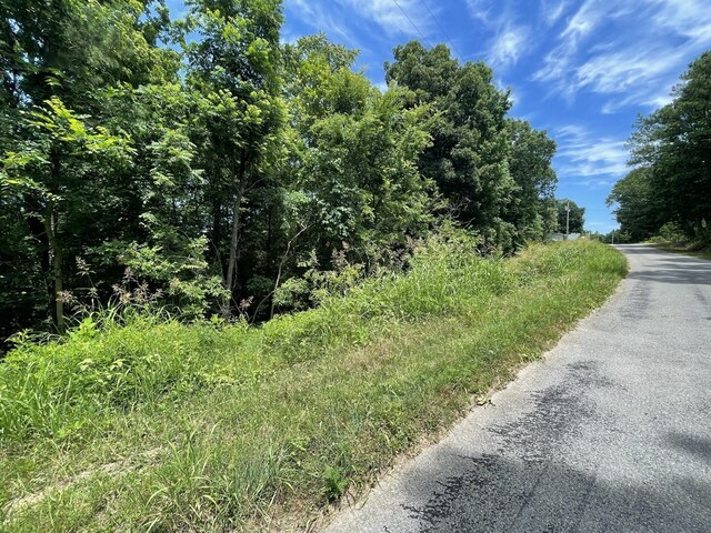 0 Parrish Hollow Rd, Lynnville, TN 38472 - photo 5