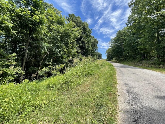 0 Parrish Hollow Rd, Lynnville, TN 38472 - photo 6