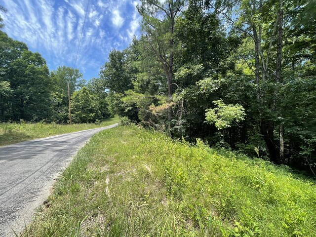 0 Parrish Hollow Rd, Lynnville, TN 38472 - photo 7