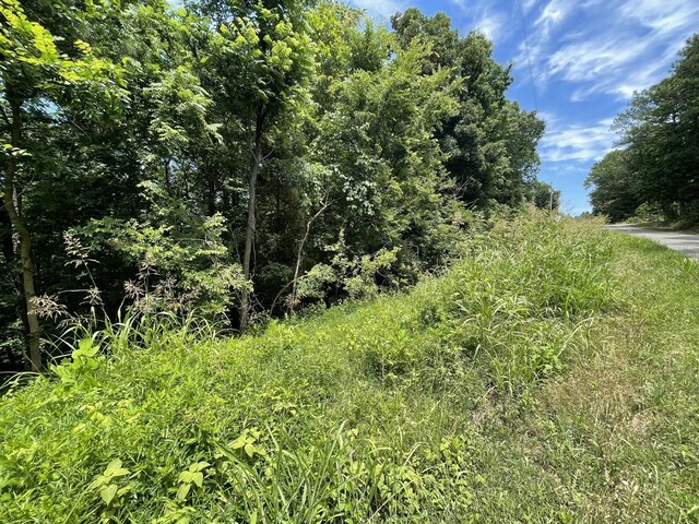 0 Parrish Hollow Rd, Lynnville, TN 38472 - photo 8
