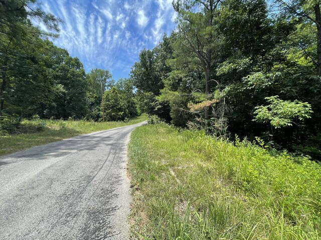 0 Parrish Hollow Rd, Lynnville, TN 38472 - photo 4