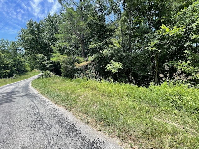 Listing photo 3 for 0 Parrish Hollow Rd, Lynnville TN 38472