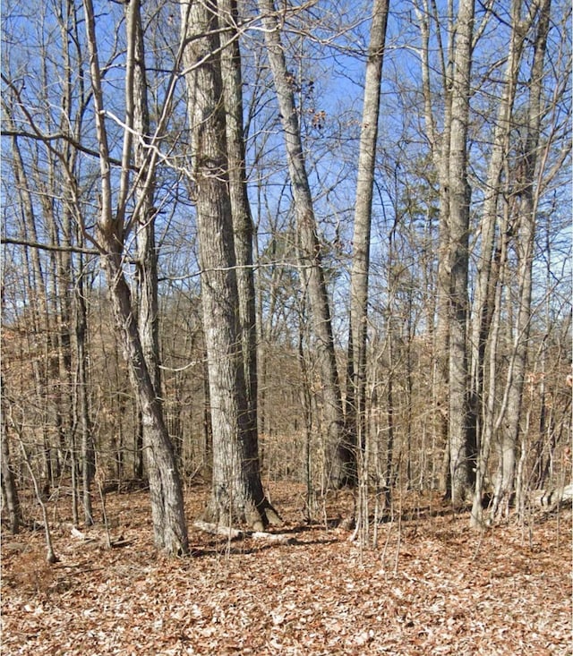 28 Madeline Ln, Rogersville, TN 37857 - photo 3