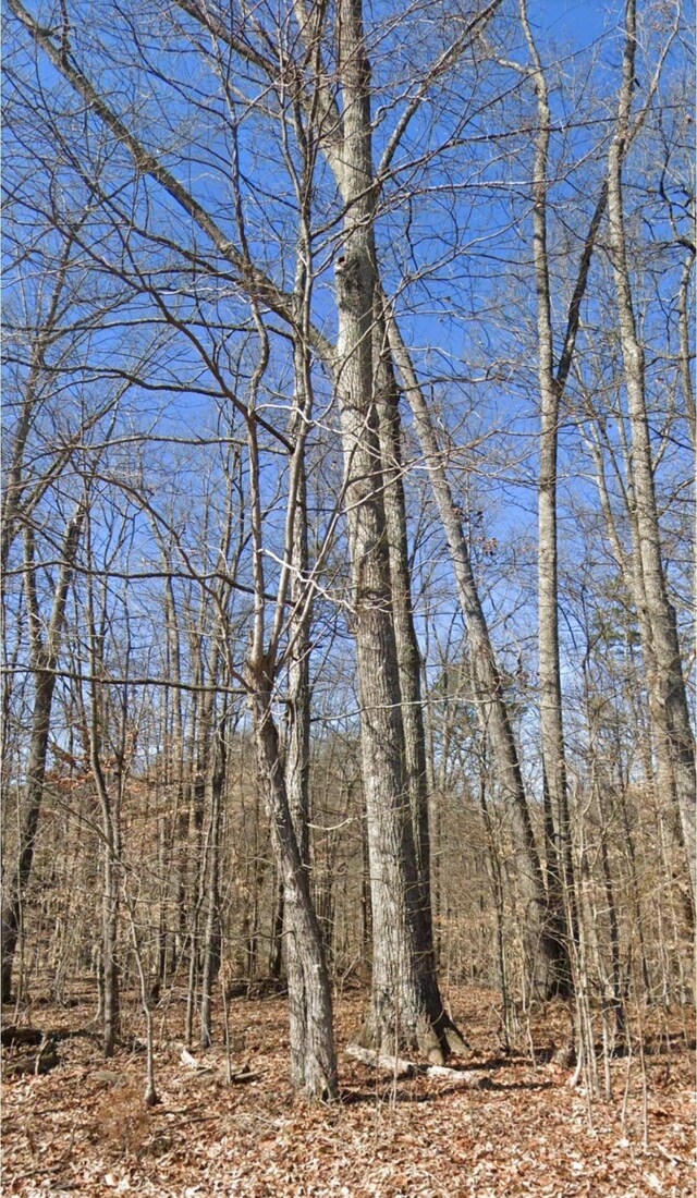 28 Madeline Ln, Rogersville, TN 37857 - photo 4