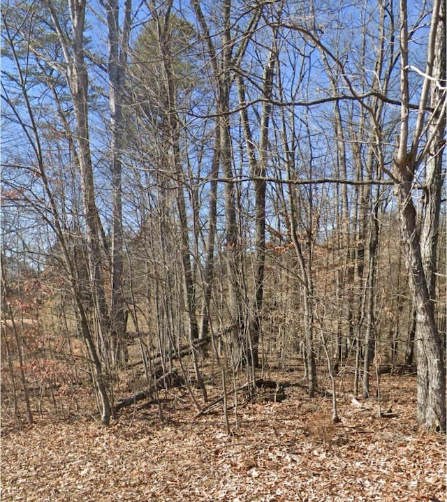 28 Madeline Ln, Rogersville, TN 37857 - photo 1
