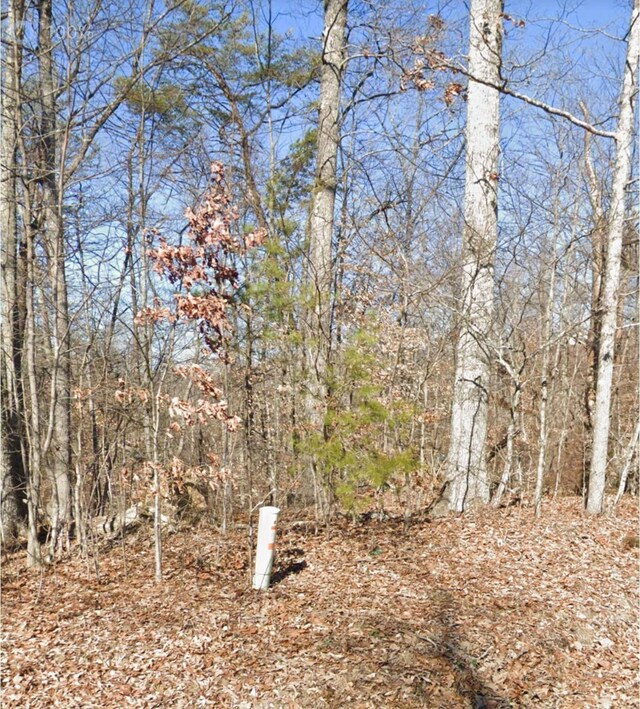 28 Madeline Ln, Rogersville, TN 37857 - photo 5