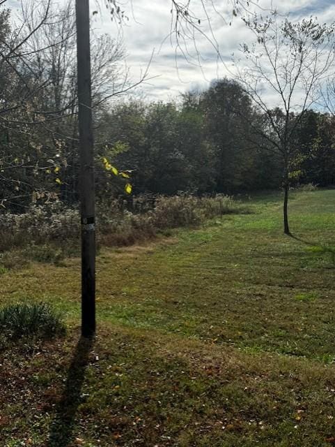 0 Sheboss Rd, Duck River, TN 38454 - photo 3
