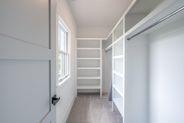 walk in closet with carpet flooring