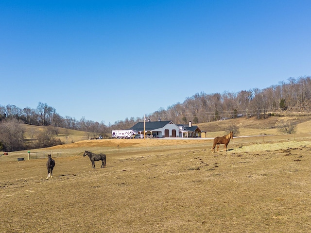 view of yard with a rural view