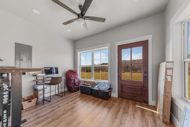 interior space featuring ceiling fan, electric panel, and light hardwood / wood-style flooring