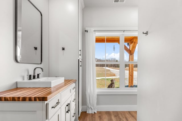 bathroom with hardwood / wood-style flooring and vanity