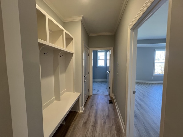 mudroom featuring ornamental molding, dark hardwood / wood-style floors, and a healthy amount of sunlight