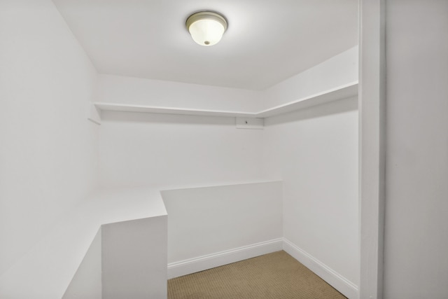 spacious closet with carpet floors