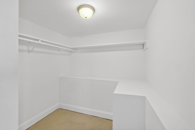 spacious closet featuring carpet flooring