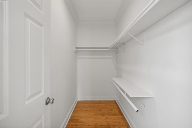 walk in closet featuring hardwood / wood-style flooring