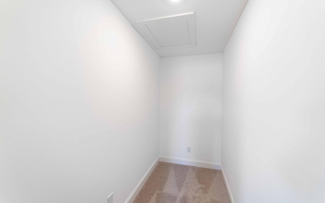 7938 Pine St, Fairview, TN 37062 - view of storage area