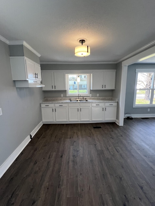 kitchen with white cabinets, plenty of natural light, dark hardwood / wood-style floors, and ornamental molding