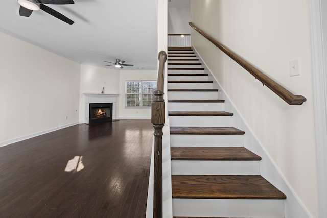 stairway with hardwood / wood-style flooring and ceiling fan