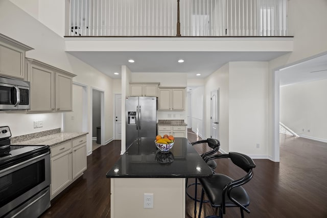 kitchen with appliances with stainless steel finishes, a towering ceiling, dark hardwood / wood-style floors, and a kitchen island