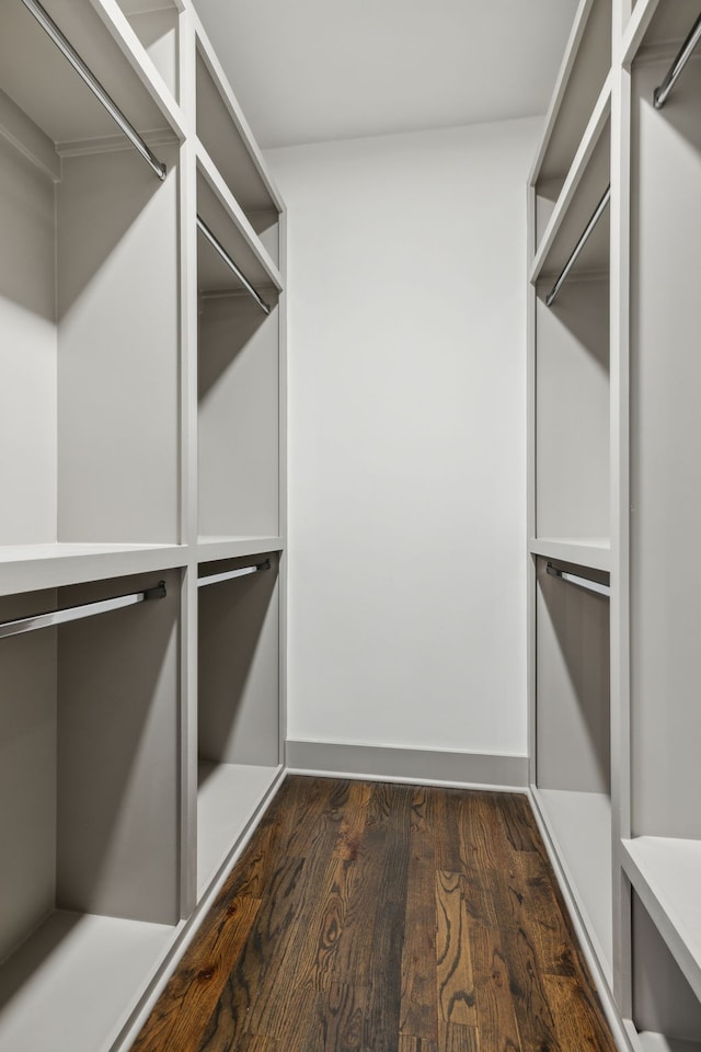 spacious closet featuring dark hardwood / wood-style flooring