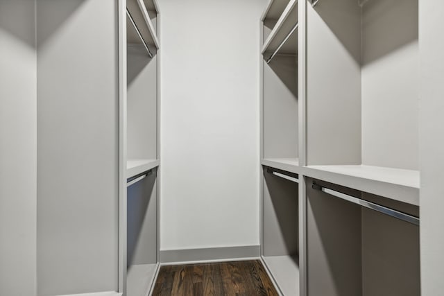 spacious closet with dark hardwood / wood-style flooring