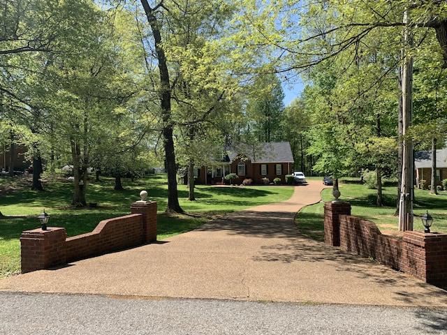 view of community featuring a lawn