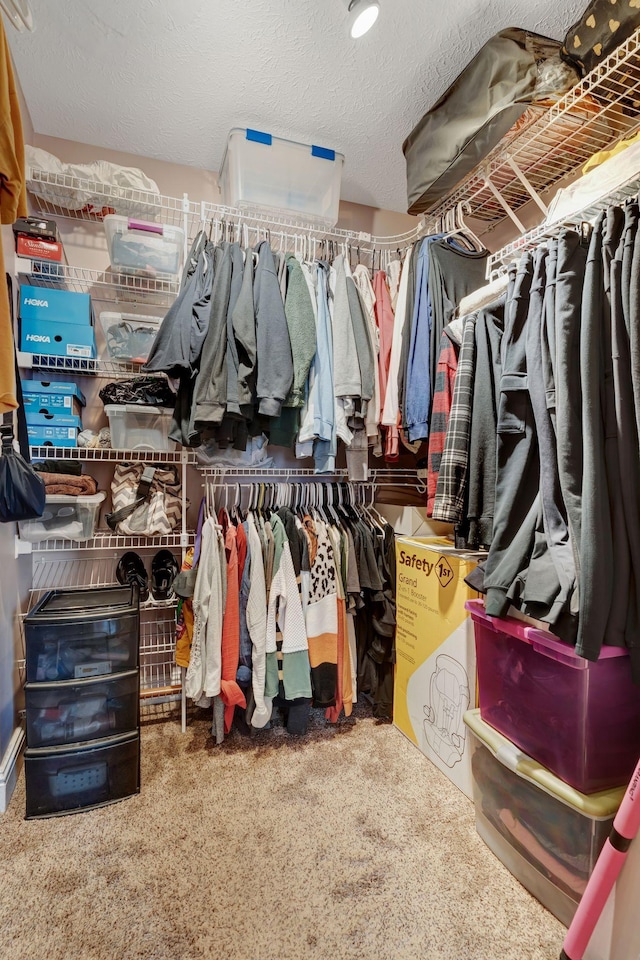 walk in closet featuring carpet floors