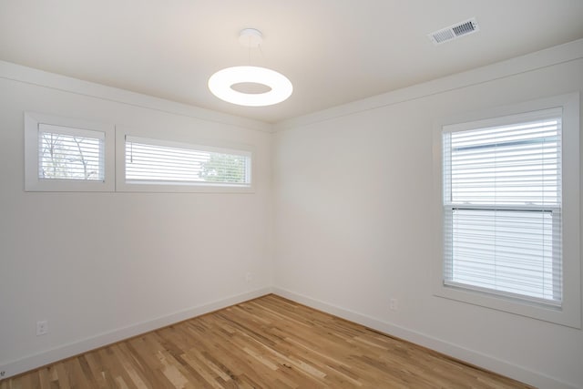 spare room featuring light hardwood / wood-style floors and a wealth of natural light