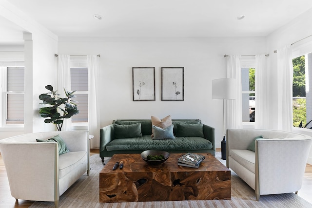 living room featuring light wood-type flooring