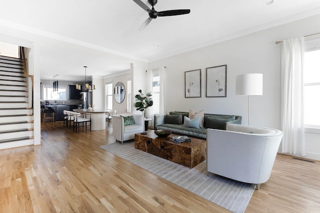 living room with ceiling fan, ornamental molding, and light wood-type flooring