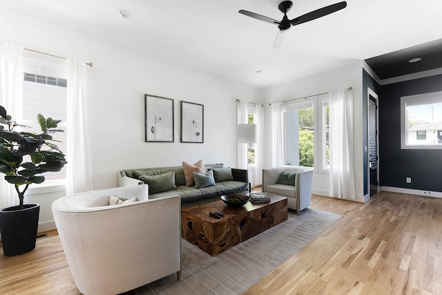 living room featuring ceiling fan and light hardwood / wood-style flooring