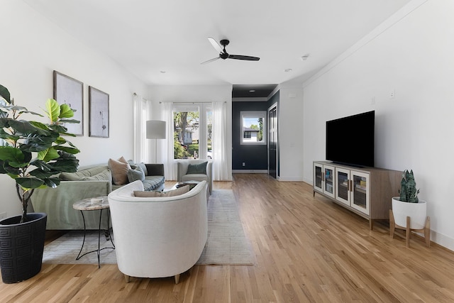 living room featuring ceiling fan, crown molding, and light wood-type flooring