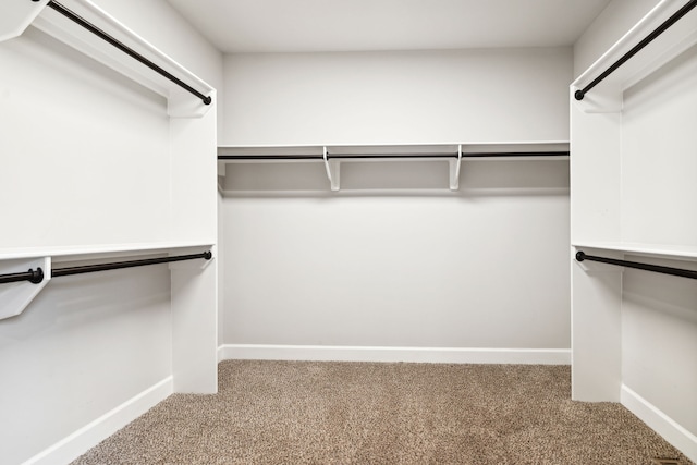 spacious closet with carpet flooring