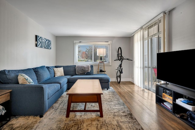 living room with hardwood / wood-style floors