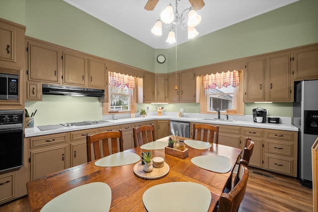 428 N Main St, Trenton, KY 42286 - kitchen featuring ceiling fan, sink, hanging light fixtures, stainless steel appliances, and dark hardwood / wood-style floors