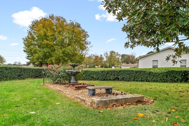 428 N Main St, Trenton, KY 42286 - view of yard
