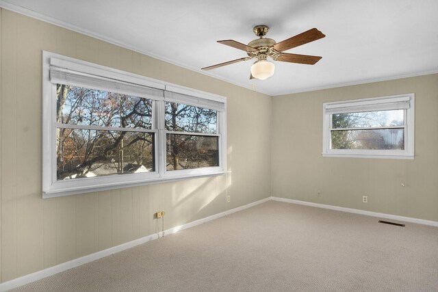 1206 Peter Pan Rd, Lookout Mountain, GA 30750 - spare room featuring plenty of natural light, ornamental molding, baseboards, and carpet