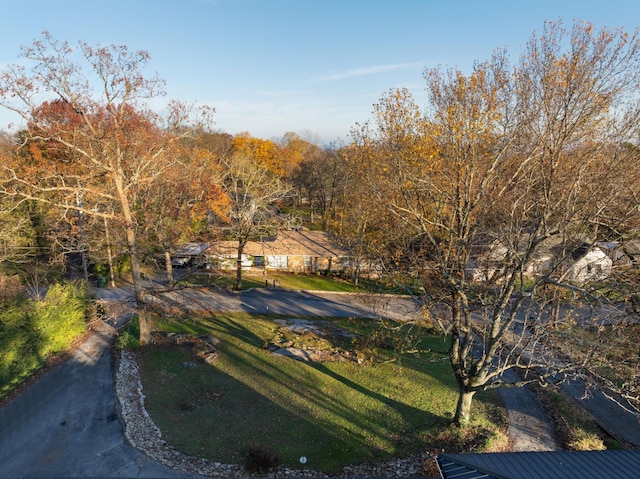 1206 Peter Pan Rd, Lookout Mountain, GA 30750 - view of yard