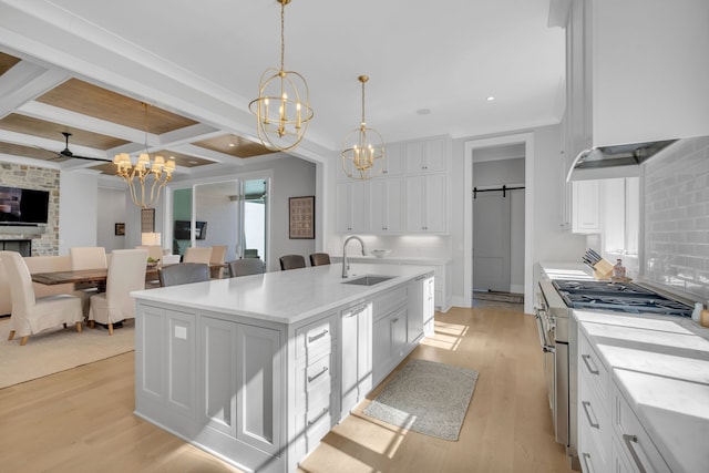 kitchen featuring a center island with sink, sink, stainless steel stove, a barn door, and light wood-type flooring