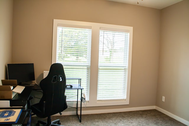 home office with carpet floors