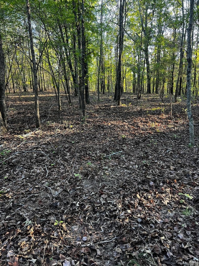 Listing photo 3 for 0 Brush Creek Rd, Lawrenceburg TN 38464