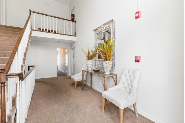 living area featuring carpet flooring and a high ceiling