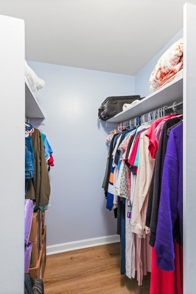 spacious closet with hardwood / wood-style floors