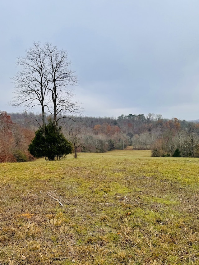 0 Matthews Hollow Rd, Waverly TN, 37185 land for sale