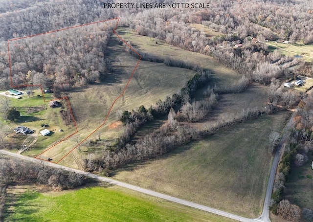 Listing photo 3 for 0 W Blue Creek Rd, Waverly TN 37185